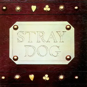 Stray dog